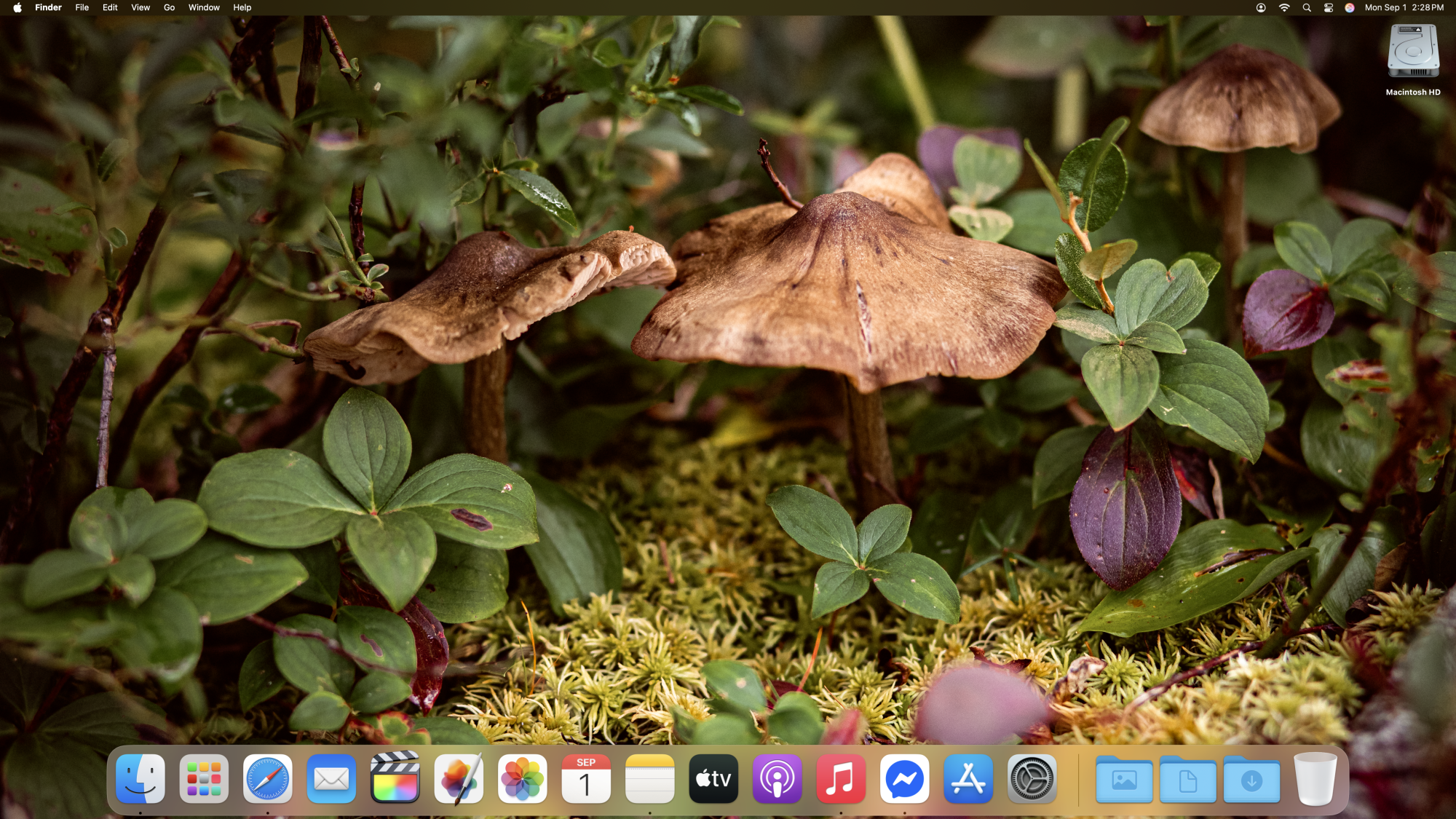 September 1st 2025 Desktop.png