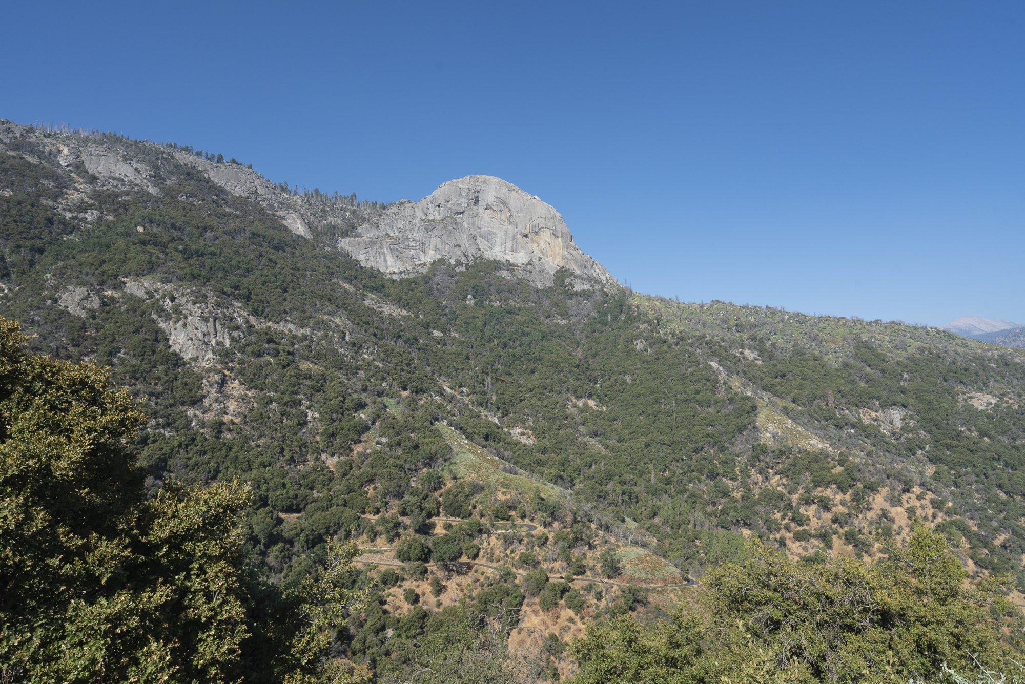 Sequoia NP - Three Rivers -2500px-58.JPG