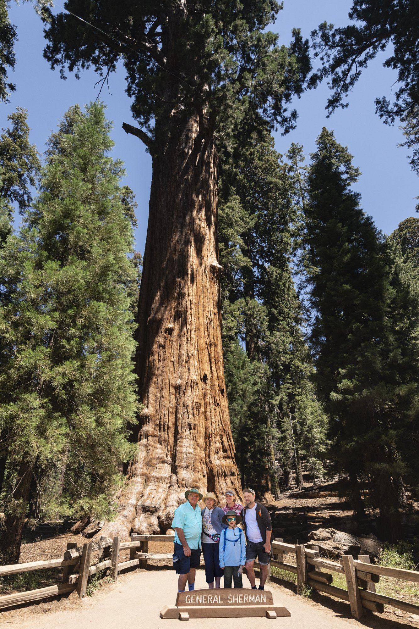 Sequoia NP - Three Rivers - 2500px-73.jpg