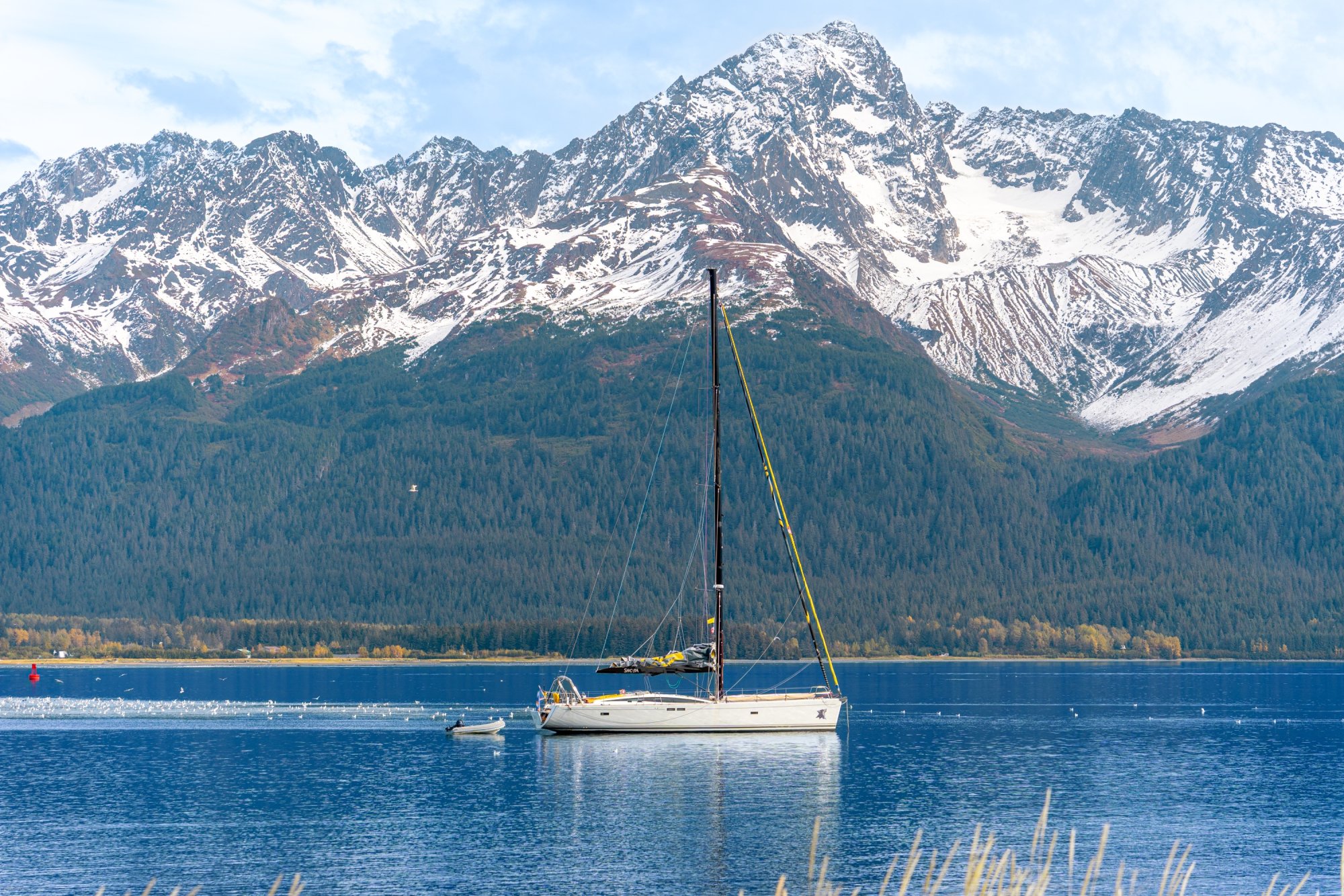 Seward.jpg
