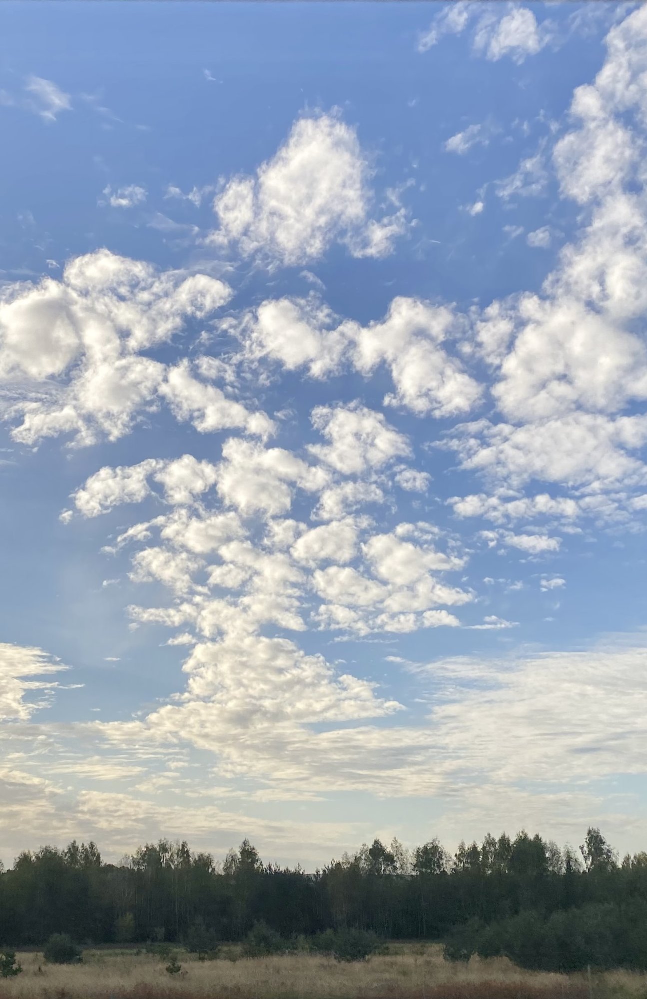 Sky from bus window.jpeg