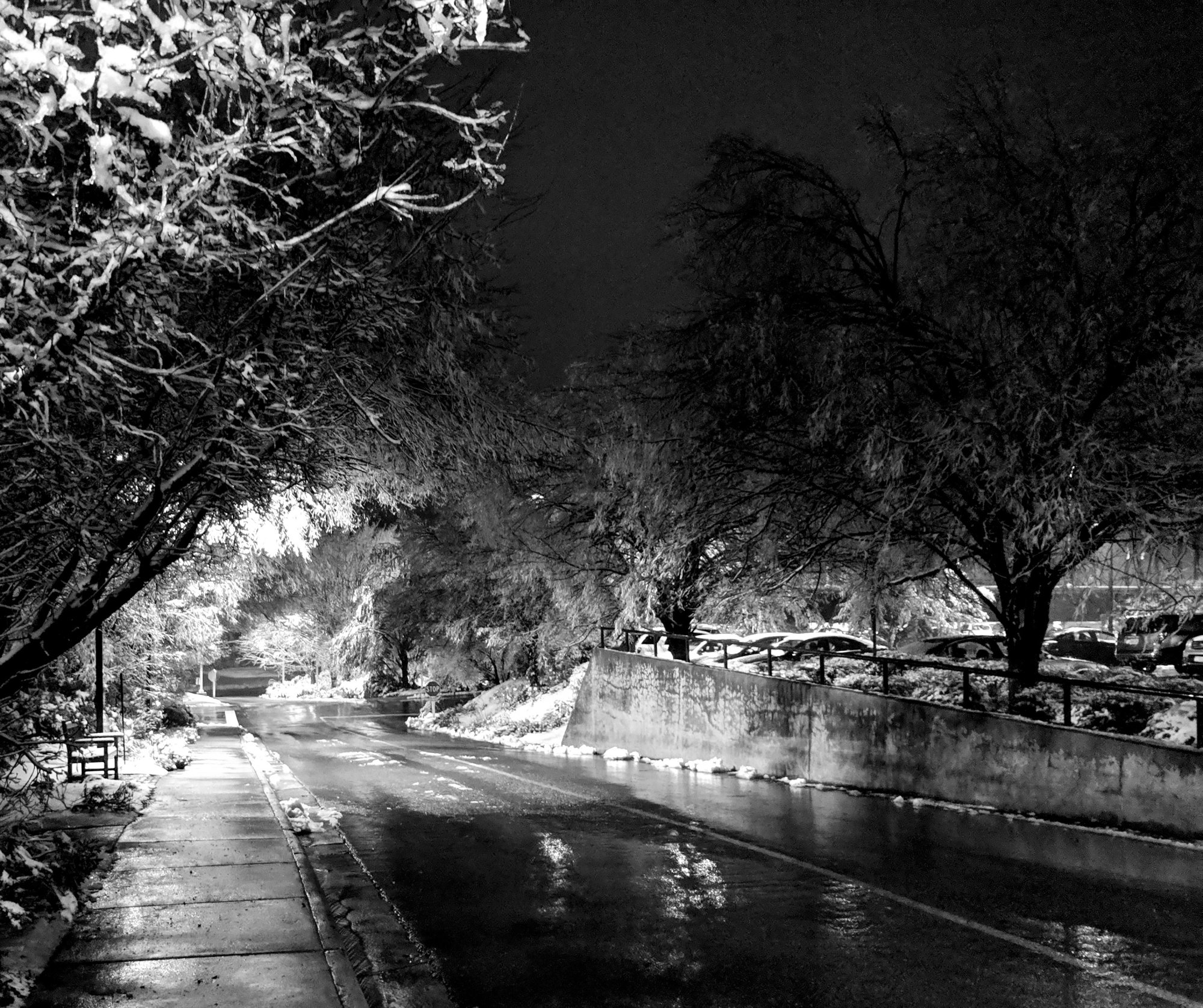 Snow and Ice B&W.jpg