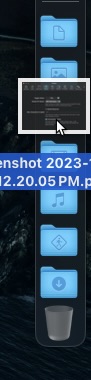 ss1.jpeg