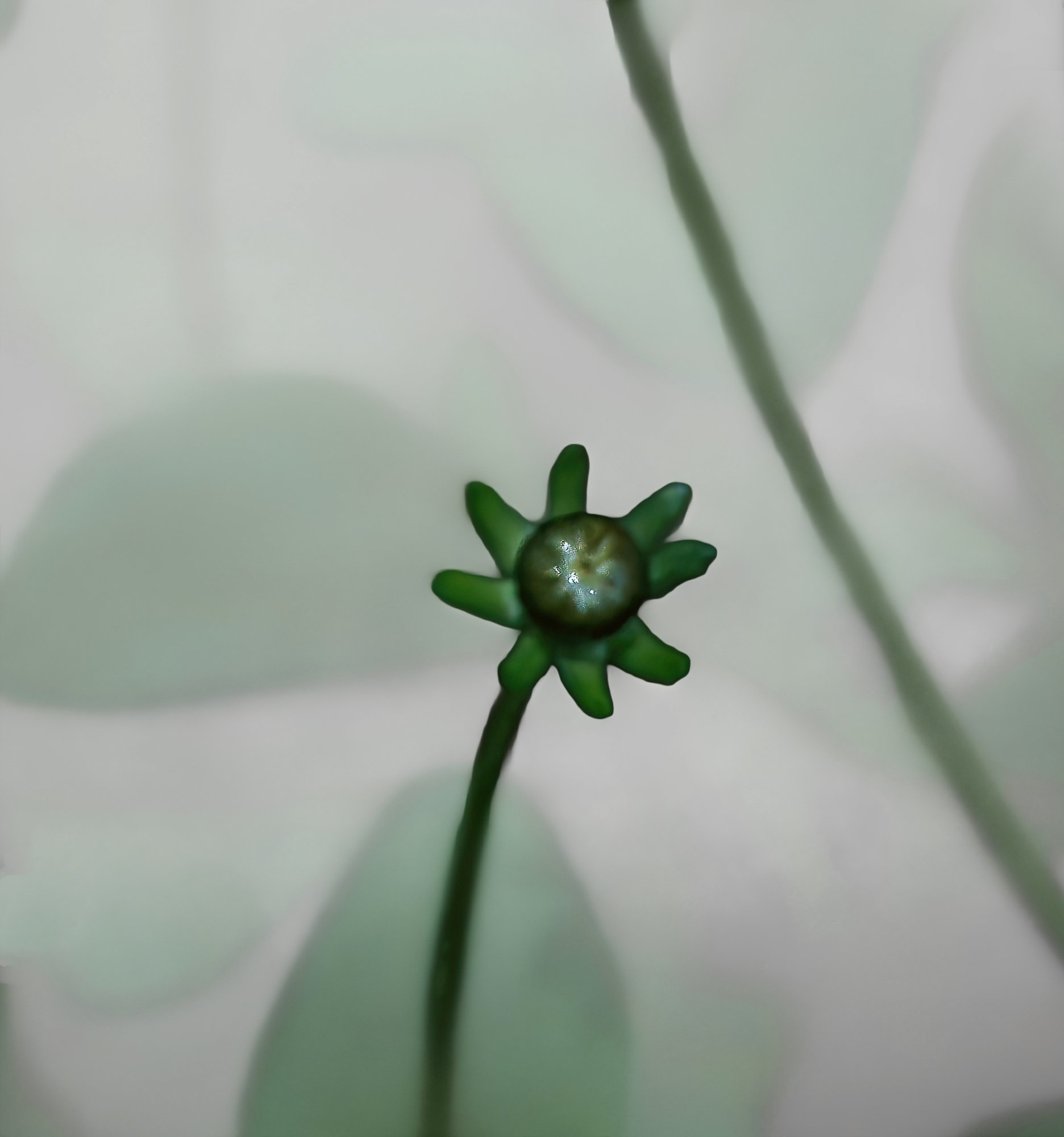 Standing Out.jpeg