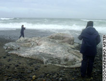 story.giant.sea.creature.jpg