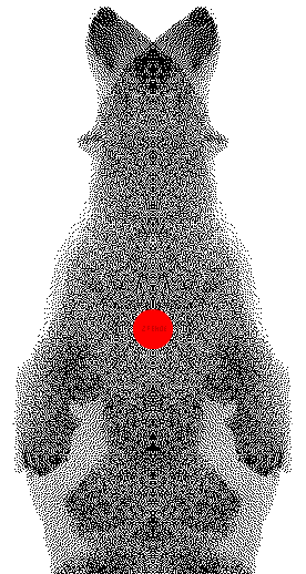 Strangers in the night.png