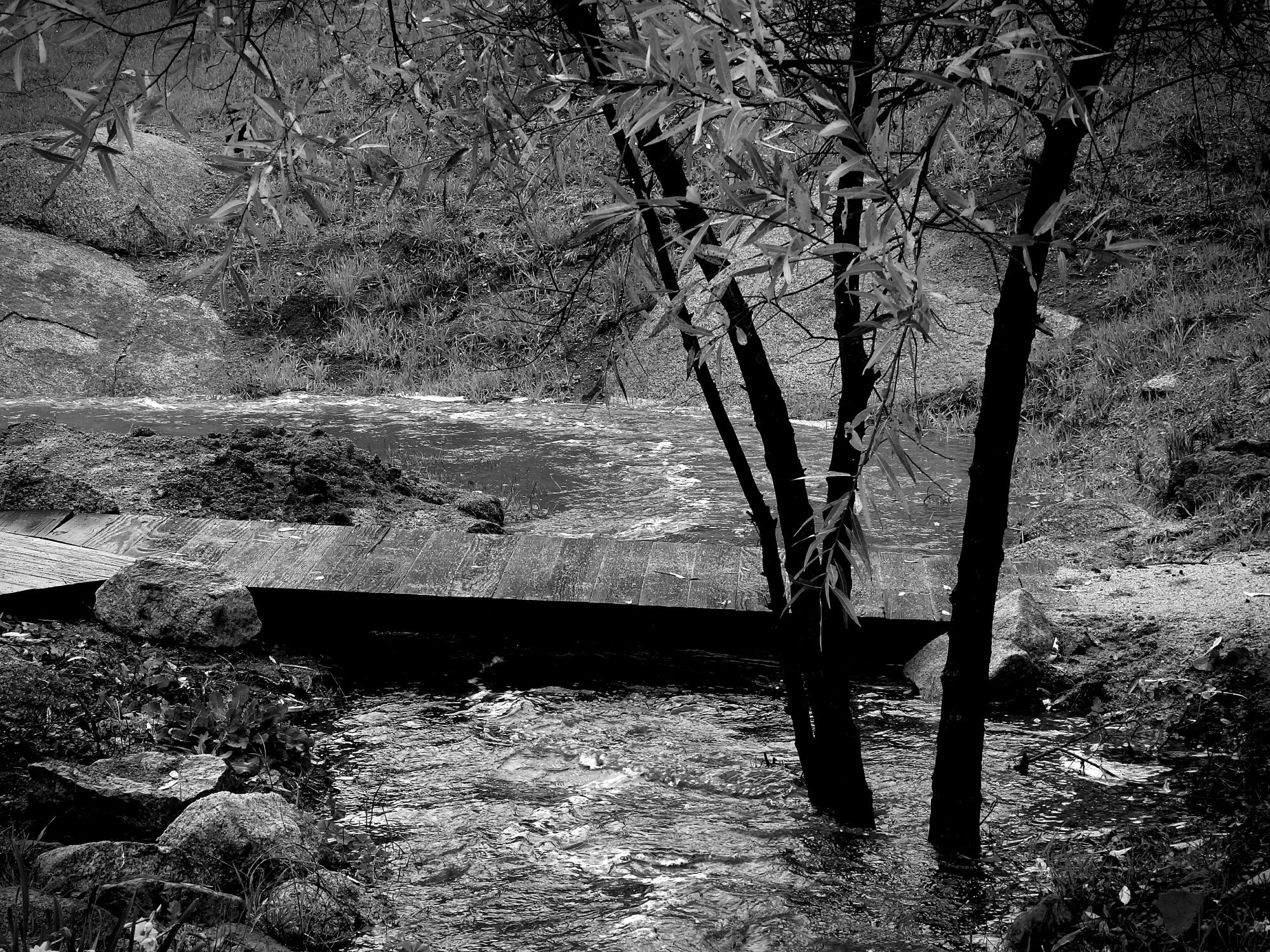 stream bridge xvbw.jpg