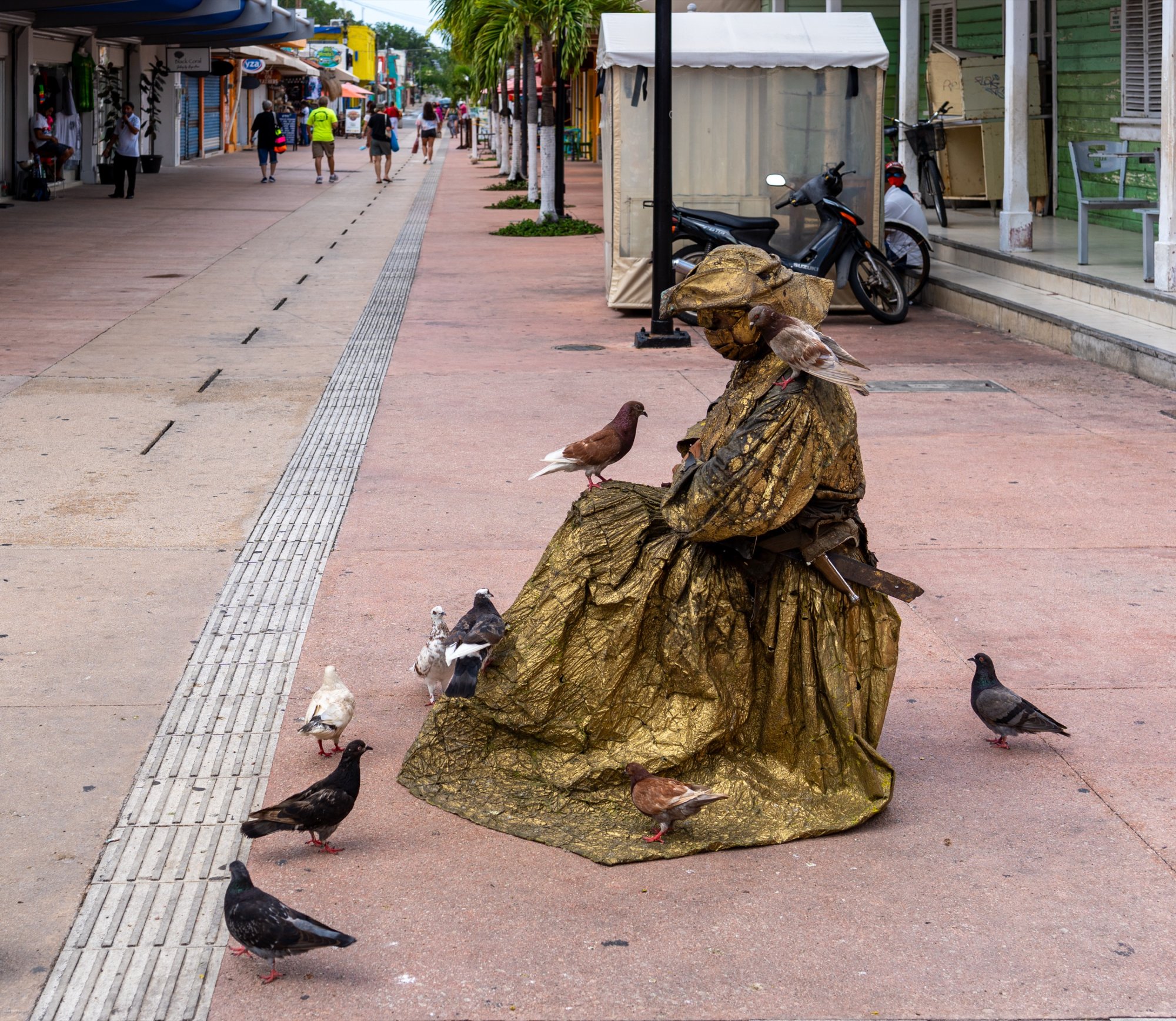 Street Performer.jpg