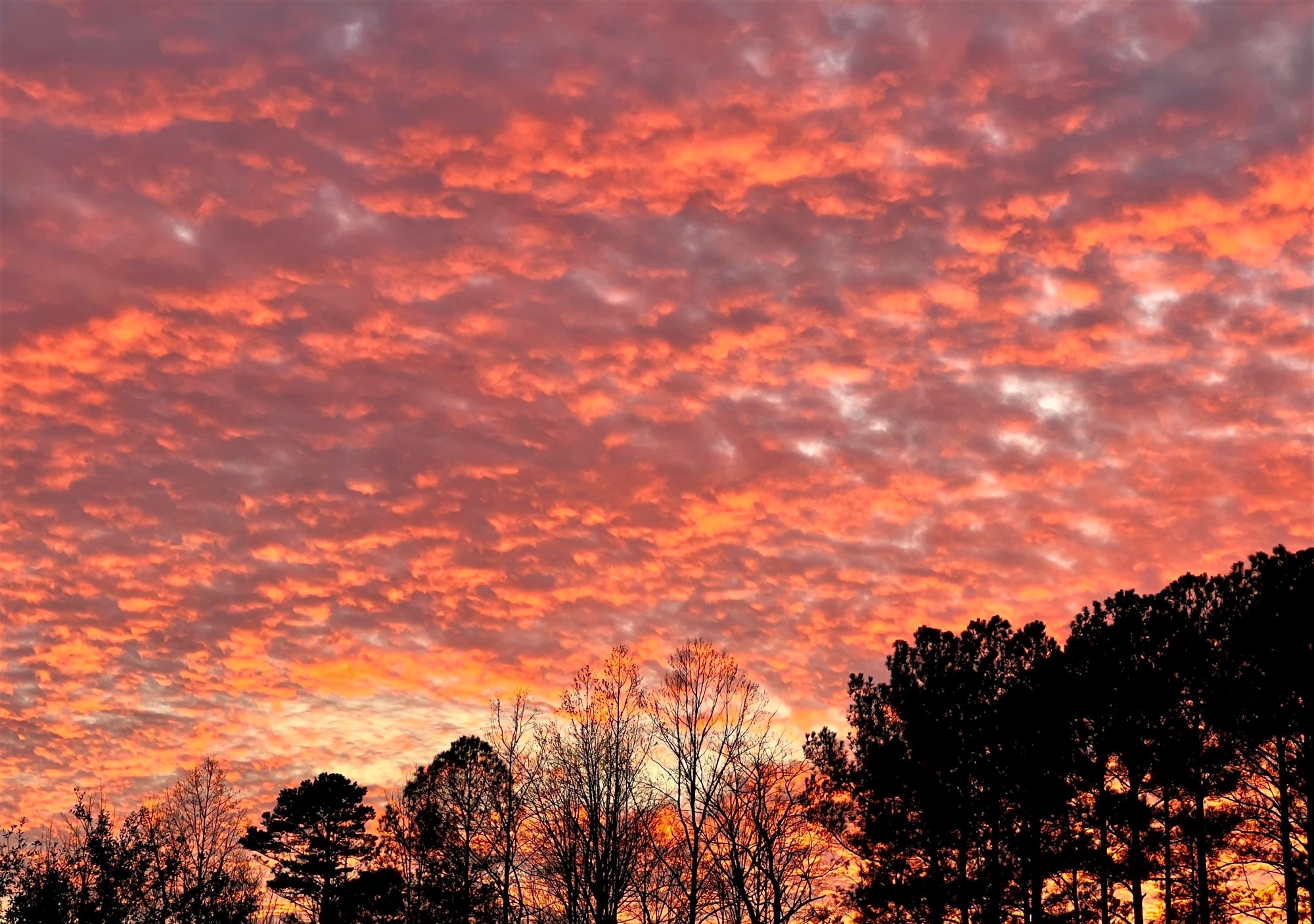 Sunset 1-10-2023b.jpg