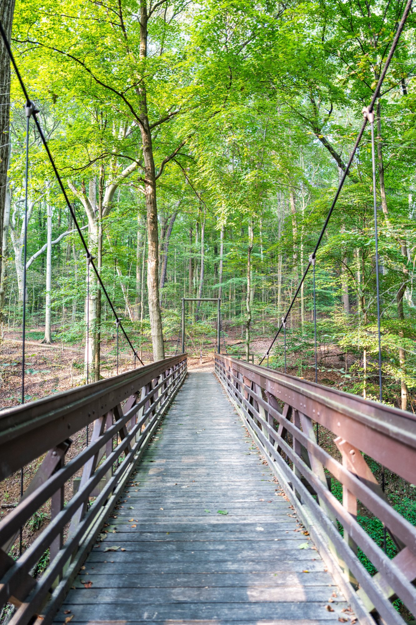 Suspension Bridge.jpg