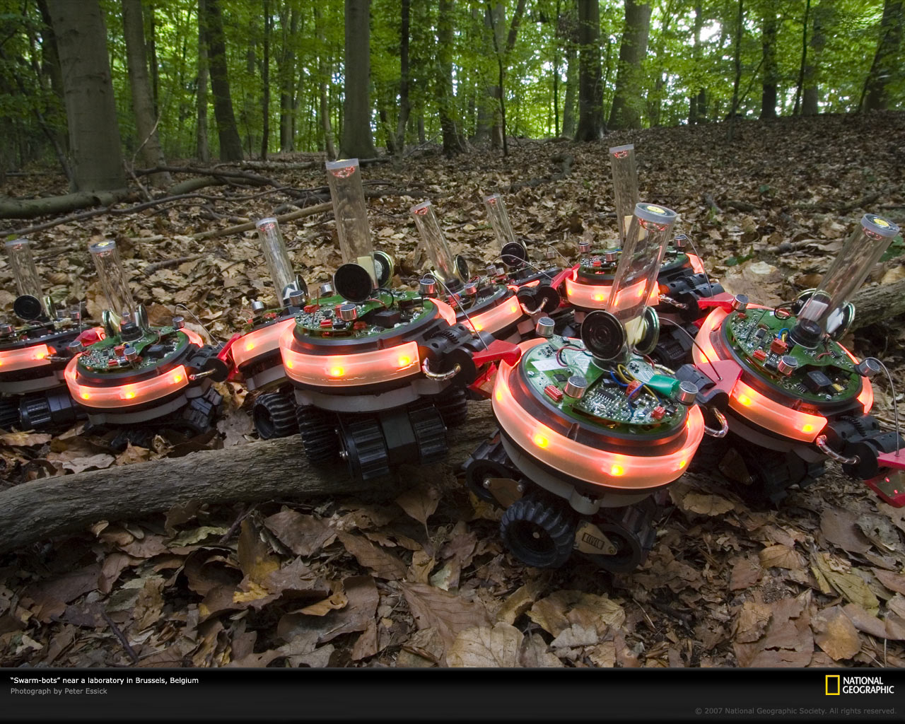 swarm-bots-belgium-1081586-xl.jpg