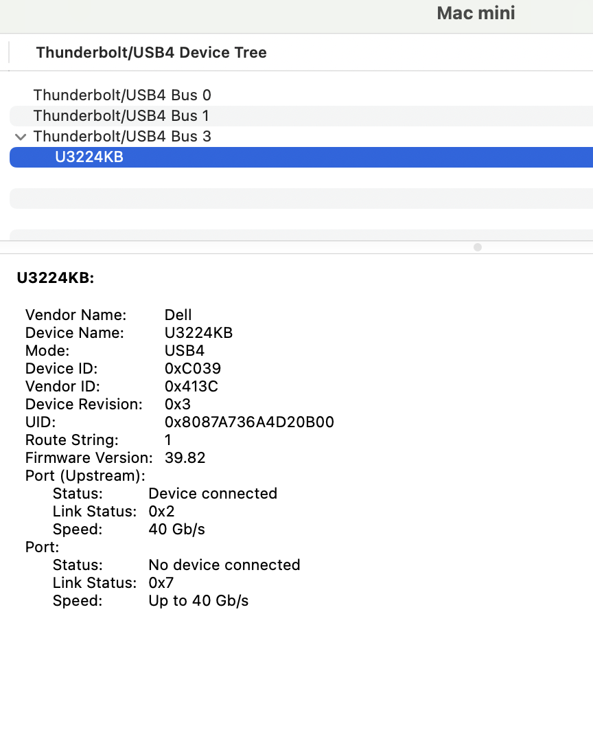 SystemInfo_Thunderbolt_4R9C9P3_Oct2023_SerNo_A02.png