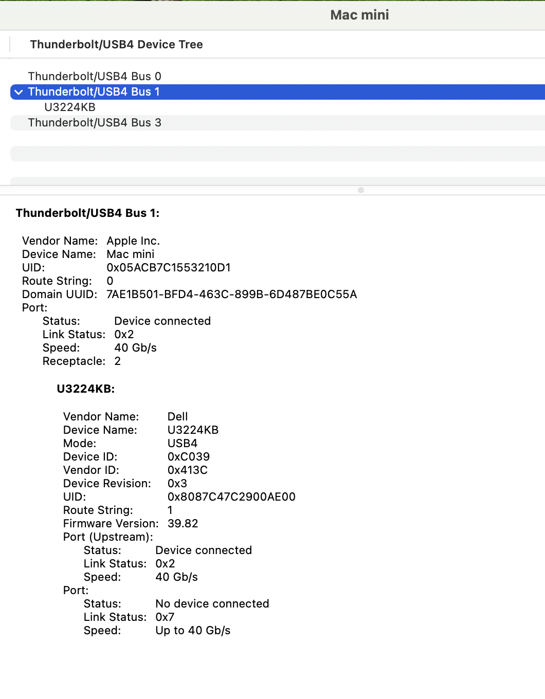 SystemInfo_Thunderbolt_D5ZK834_Oct2024_SerNo_A07.png