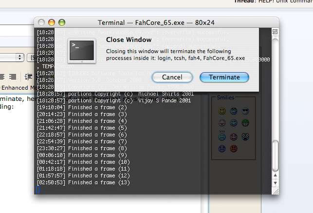 terminal.jpg