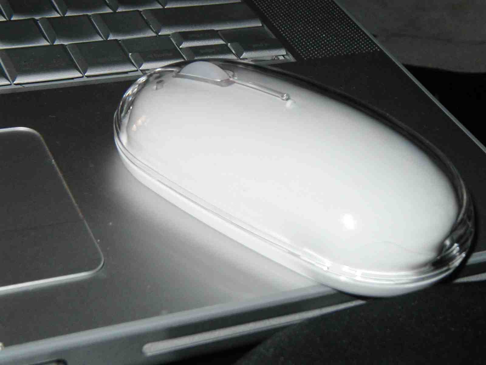 theMouseBT.jpg
