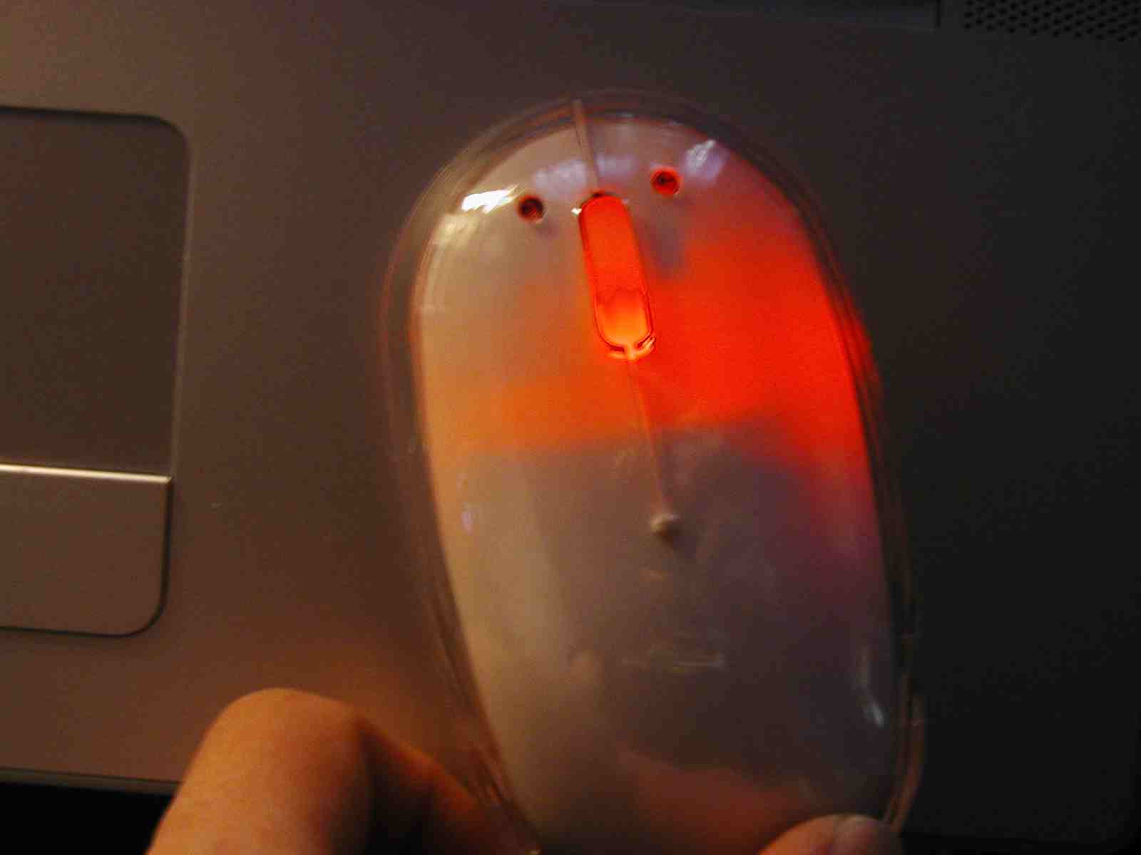 theMouseBTlight.jpg