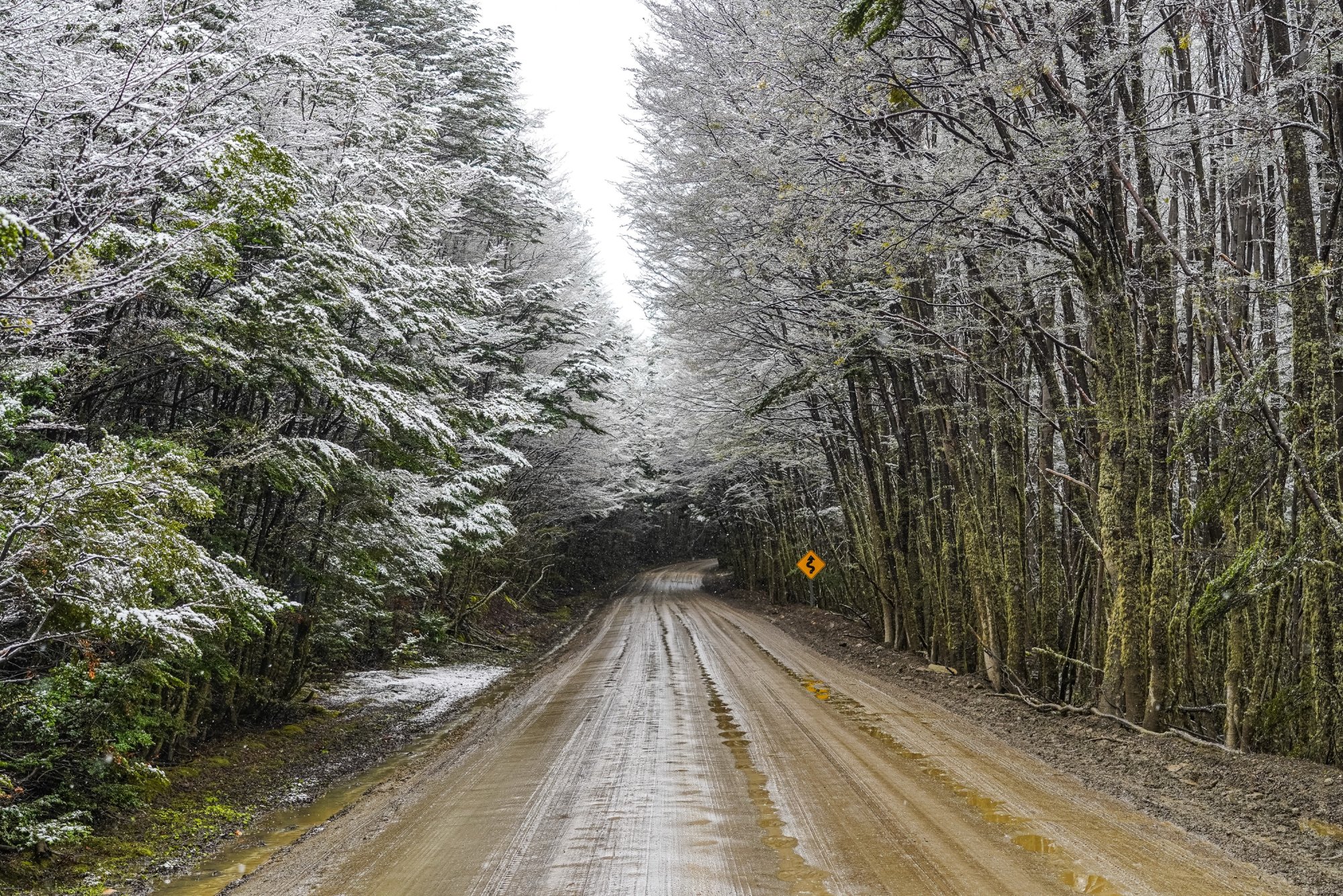 Tierra Del Fuego National Park.jpg