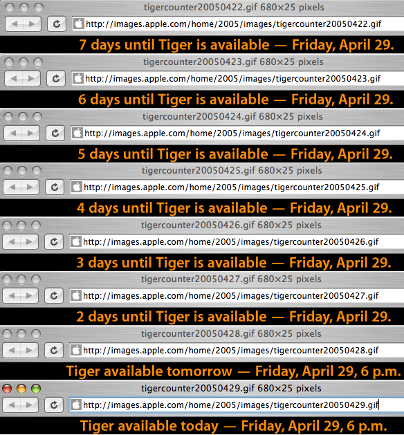 tigercounter.png