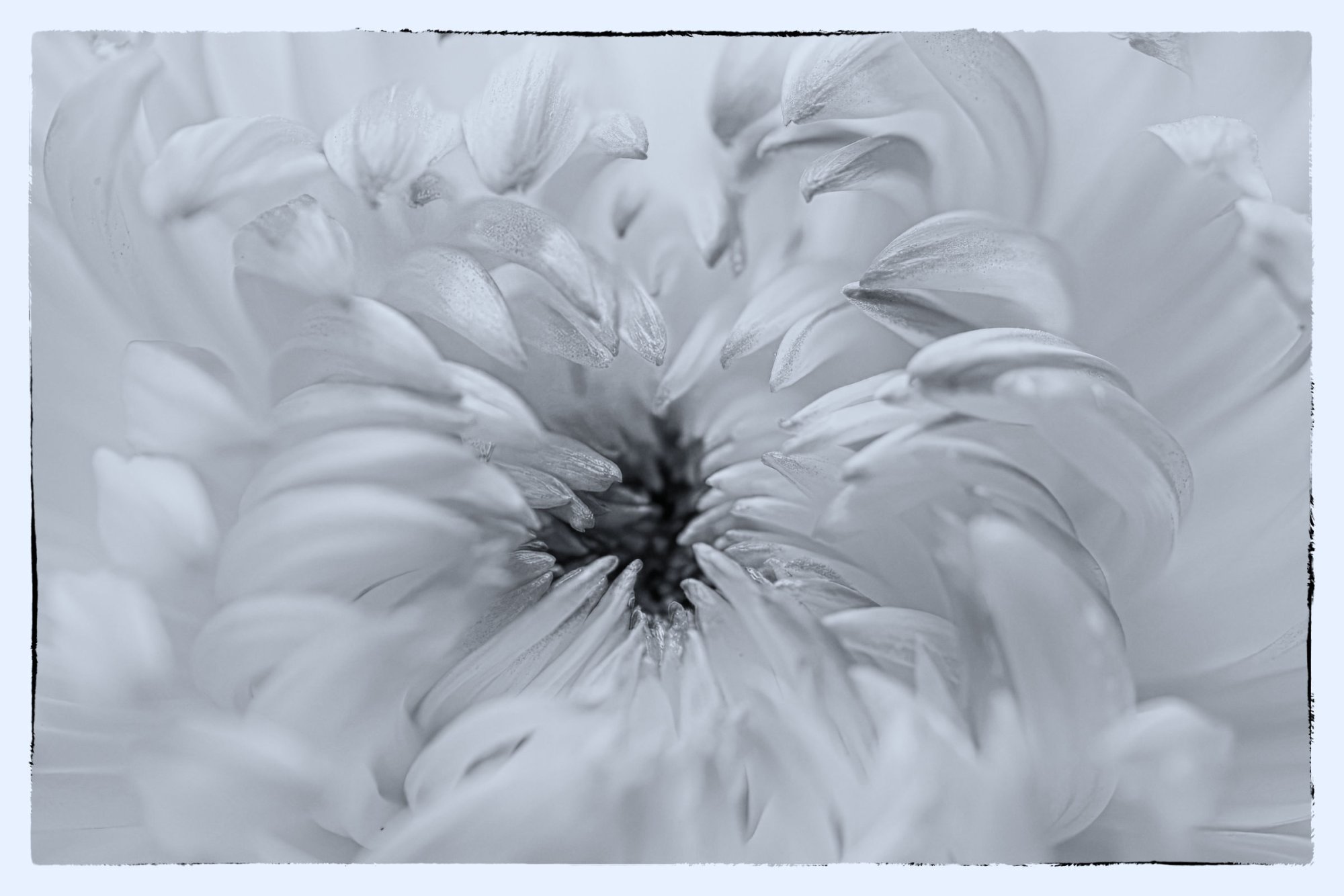 To the Center (B&W).jpeg