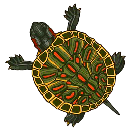 Turtle.png