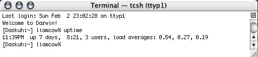 uptime.jpg