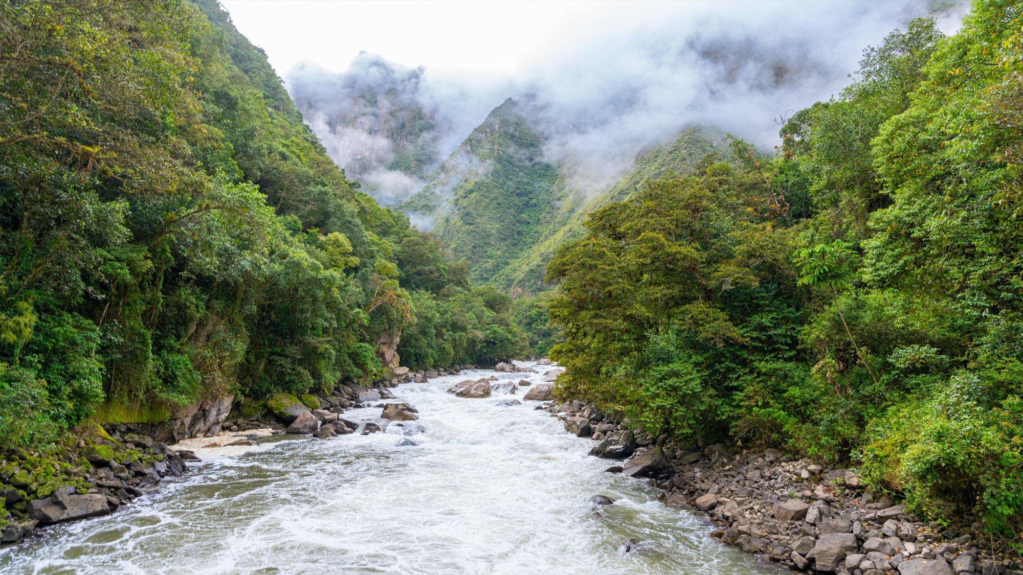 Urubamba River.jpg