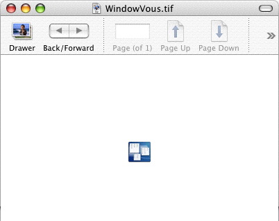 windowvous.jpg