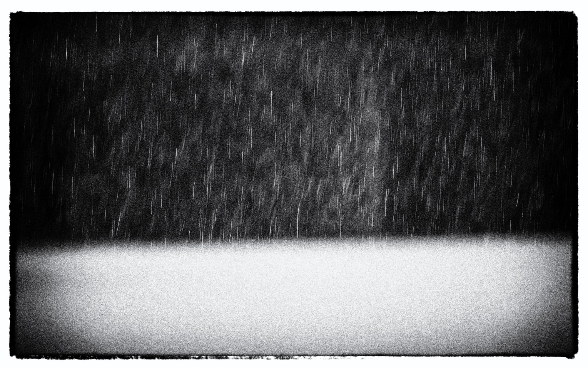 Winter 2 (B&W).jpeg