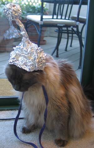 tinfoil_hat_cat.jpg