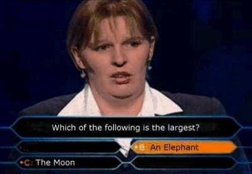 facepalm-pics-11.jpg