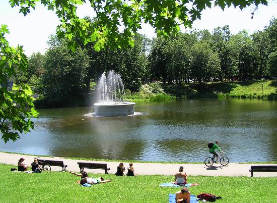 the-park-across-the-street.jpg