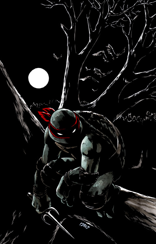 TMNT__Raphael__Bad_Moon_01_by_mooncalfe.jpg