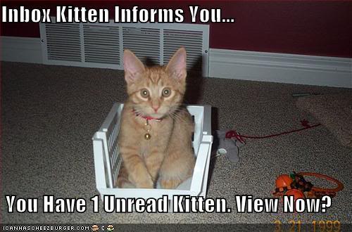 InboxKitten.jpg