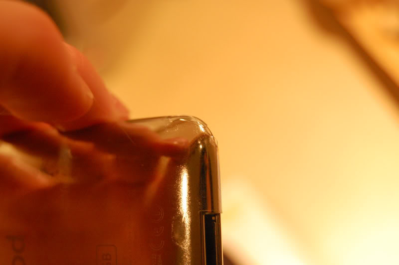 DSC_5358.jpg