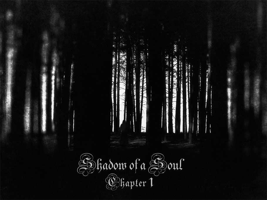 shadow_of_a_soul_910x681.jpg