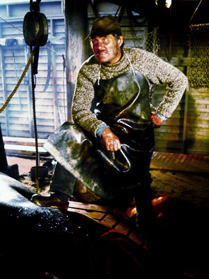 Robert-Shaw-Jaws_l.jpg