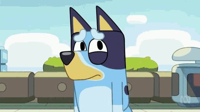 bluey-quote.gif