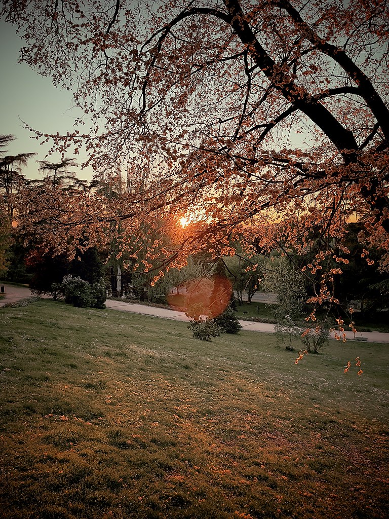 51103820295_c08e1a9941_b.jpg