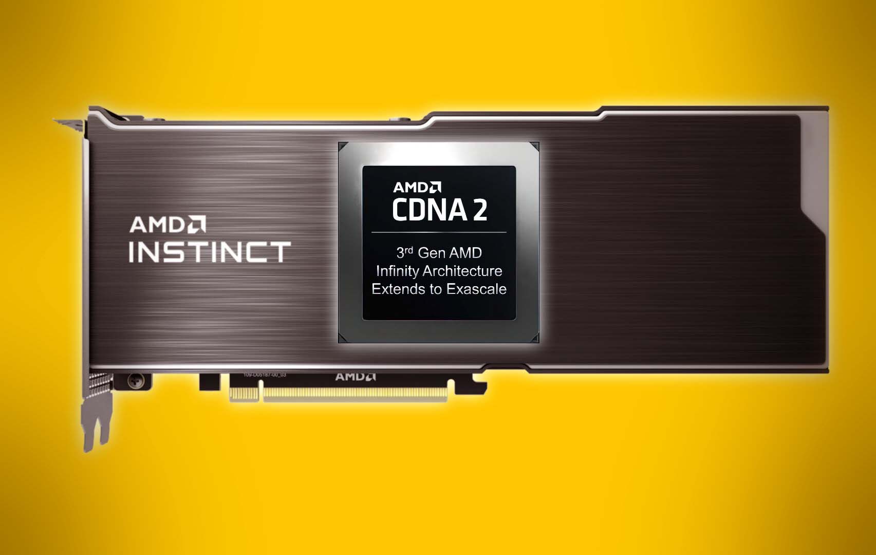 videocardz.com