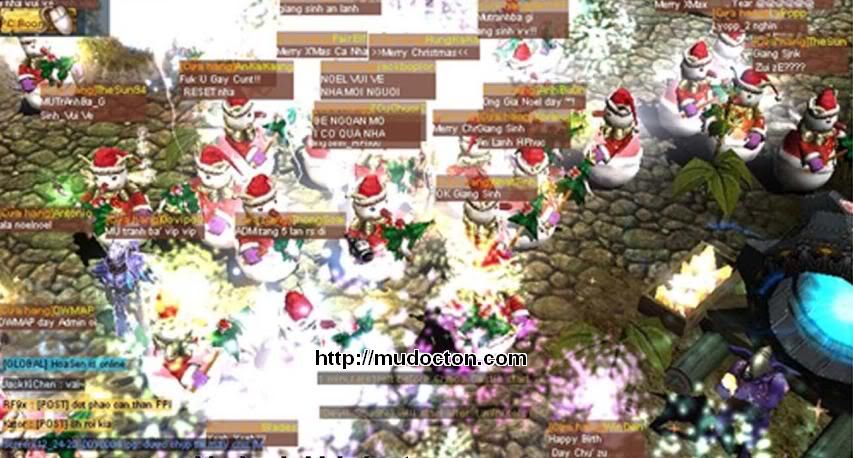 hoatrang.jpg