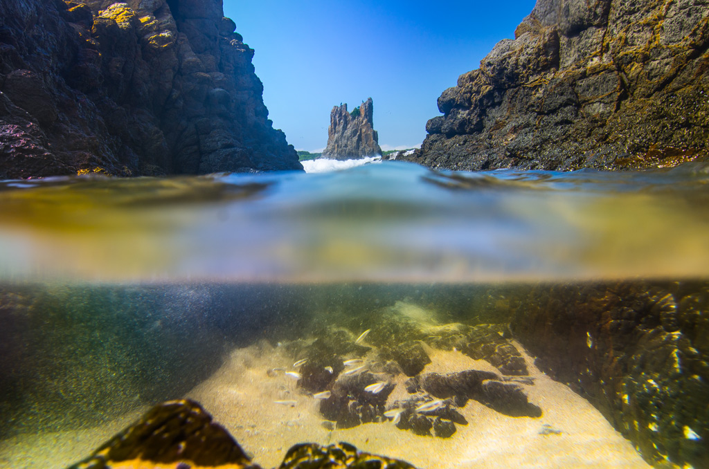 K5__8884---Fish-under-Cathedral-Rocks.jpg