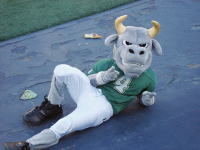 001Rocky_D_Bull.jpg