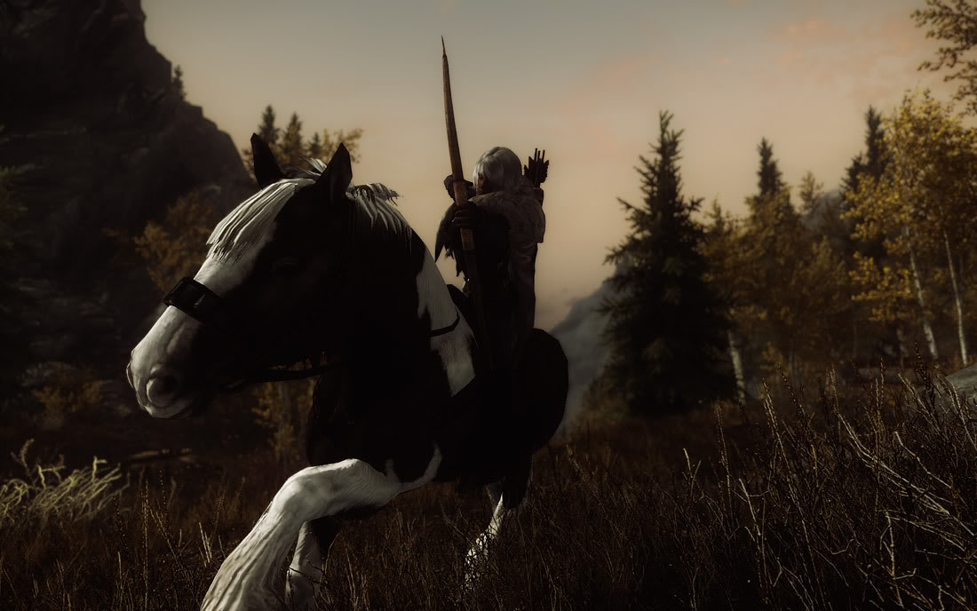 imonahorse1.jpg