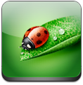 icon2x.png