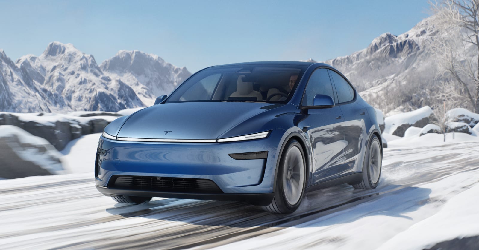 www.tesla.cn