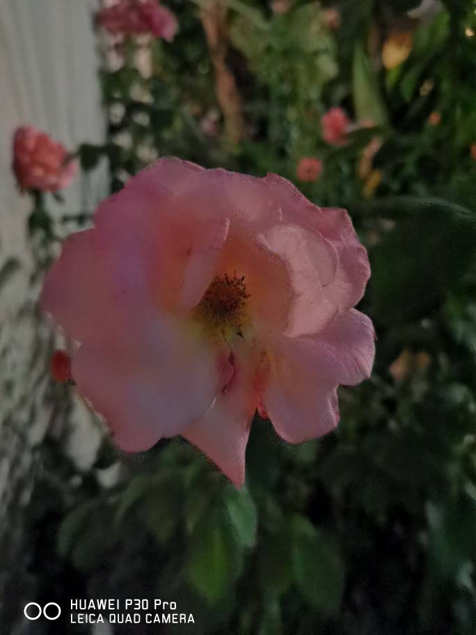 d656e045ff5cd368322aa0526a090306.jpg