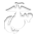 iDSLJ.png