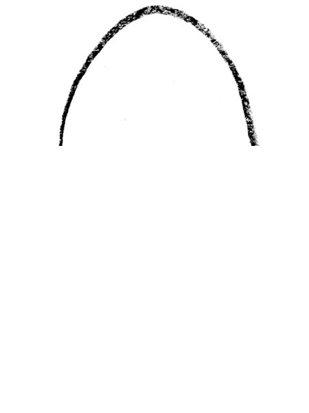 para-11.jpg