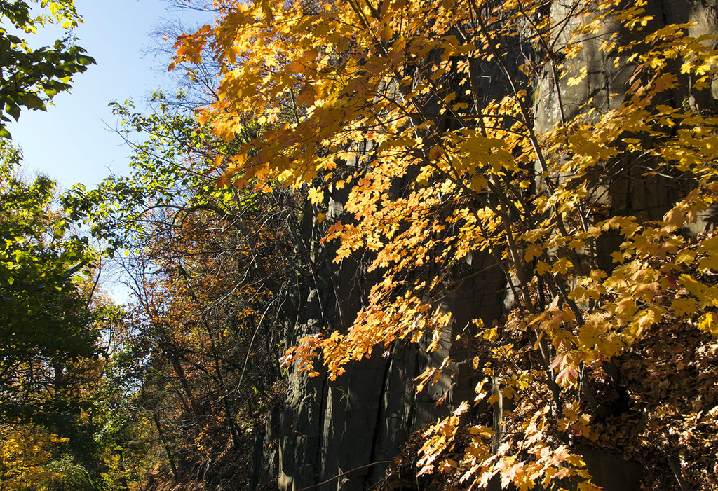 maple%20cliff%201280.jpg