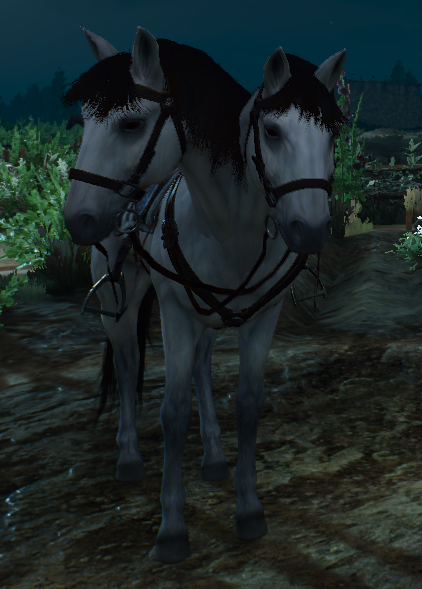 witcher3%202015-05-22%2018-56-14-43.png